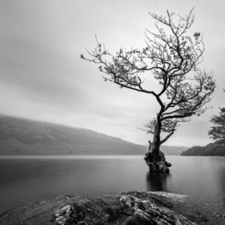 Image of Exiled Grace by Noel Fenech Photography
